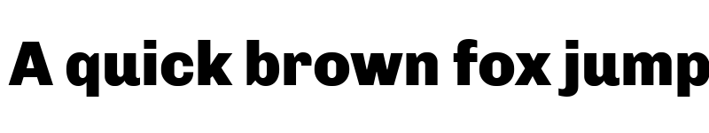 Preview of Chivo Black font