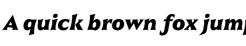 Preview of Civane Norm Black Italic font