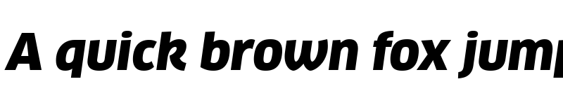 Preview of Clan Pro Black Italic font