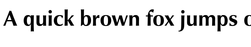 Preview of Classico URW Bold font