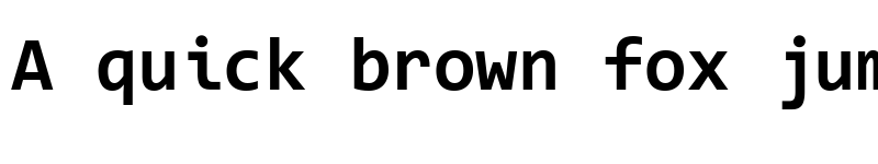 Preview of Code New Roman Bold font