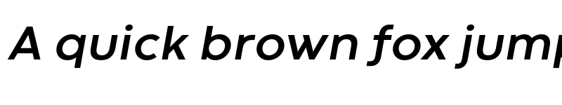 Preview of Codec Warm Trial Bold Italic font