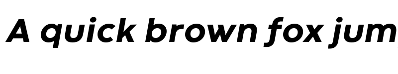 Preview of Codec Warm Trial ExtraBold Italic font