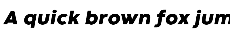 Preview of Codec Warm Trial Heavy Italic font