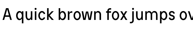 Preview of Construk Sans Regular font