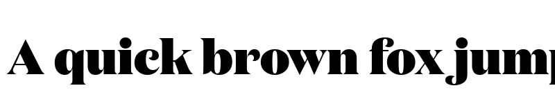 Preview of Copyright Klim Type Foundry Black font