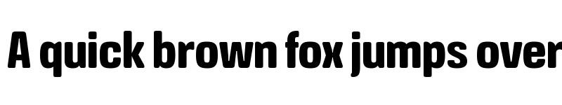 Preview of Crossfit Demo Bold font