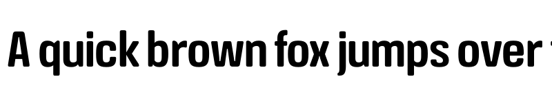 Preview of Crossfit Demo Demi font