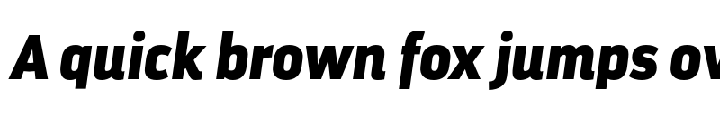 Preview of Darwin Pro Black It font