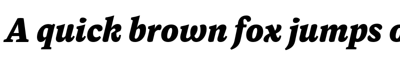 Preview of Dashiell Text X-Bold Italic font