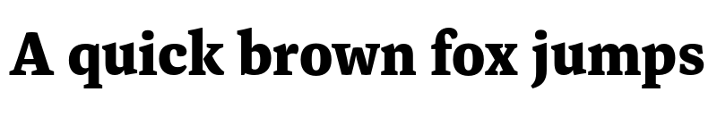 Preview of Dashiell Text X-Bold font