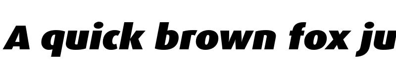 Preview of Dax Pro Wide Black Italic font