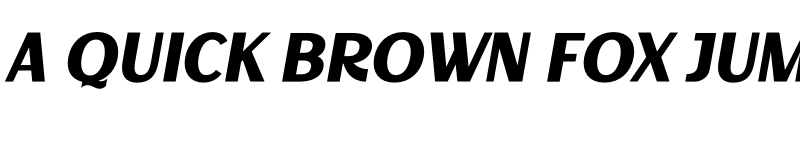 Preview of Decary Sans BoldIt PERSONAL USE Regular font