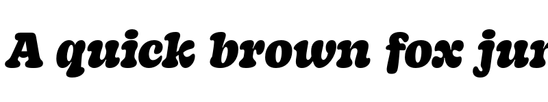 Preview of Decoy Black Italic font