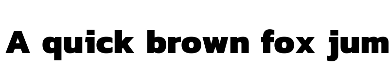 Preview of Dizhitl ExtraBold font