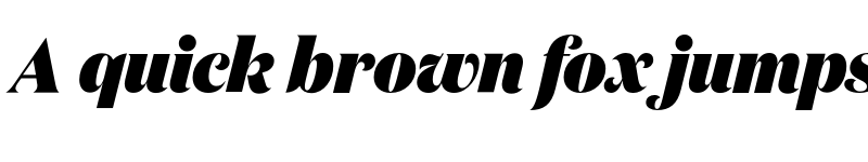 Preview of Domaine Display Narrow Black Italic font