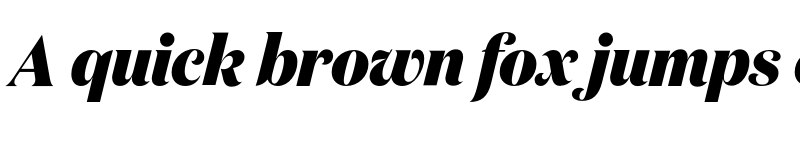 Preview of Domaine Display Narrow Extrabold Italic font