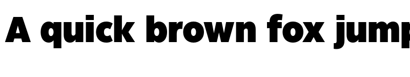 Preview of Eastman Grotesque Trial Black font