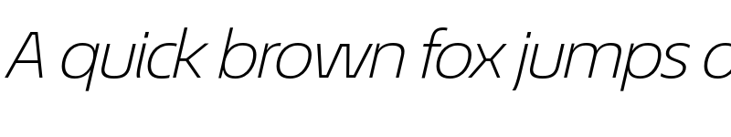 Preview of EconoSans Reduced 44 Light Expanded Italic font