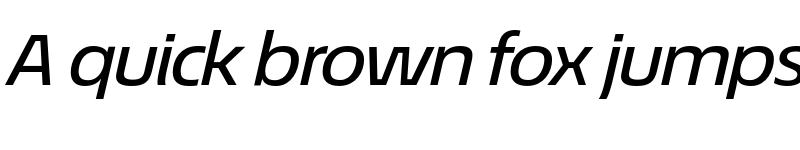 Preview of EconoSans Reduced 64 Medium Expanded Italic font