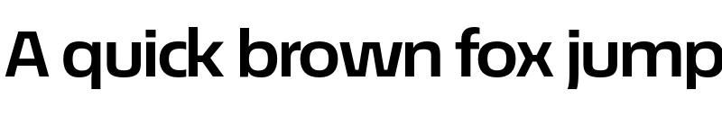 Preview of EconoSans Reduced 73 Bold Expanded font