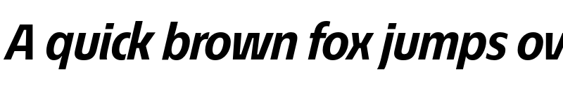 Preview of EconoSans Reduced 76 Bold Italic font