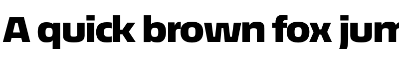 Preview of EconoSans Reduced 93 Black Expanded font