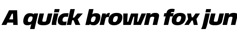 Preview of EconoSans Reduced 94 Black Expanded Italic font