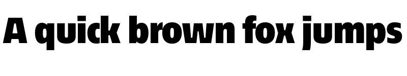 Preview of EconoSans Reduced 95 Black font