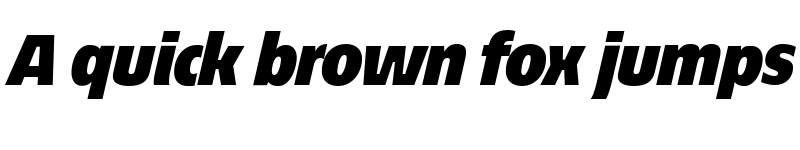 Preview of EconoSans Reduced 96 Black Italic font