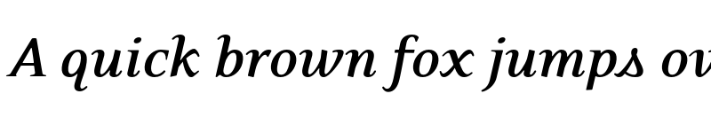 Preview of Eidetic Neo OT Bold Italic font