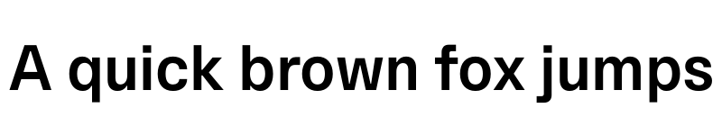 Preview of Eins Sans Bold font