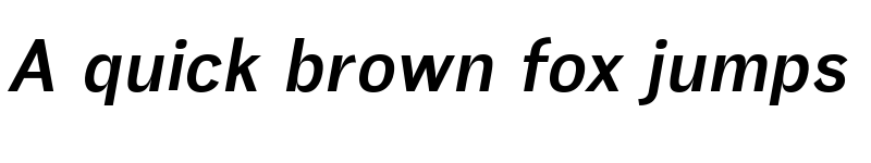 Preview of Eirene Sans Bold Italic font