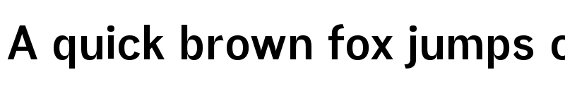 Preview of Eirene Sans Bold font