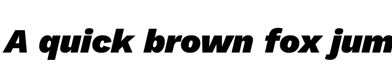 Preview of Elaine Sans Black Italic font