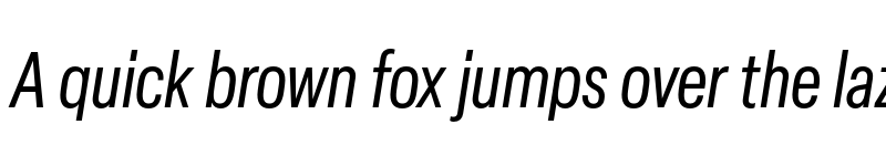 Preview of Elza Condensed Oblique font