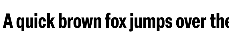 Preview of Elza Trial Condensed Bold font