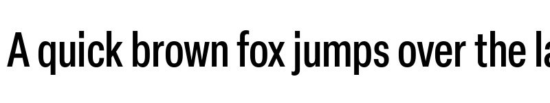 Preview of Elza Trial Condensed Medium font