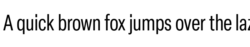 Preview of Elza Trial Condensed font