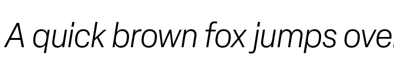 Preview of Elza Trial Light Oblique font