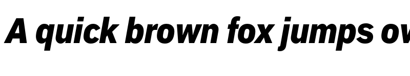 Preview of Embarcadero MVB Pro Black Condensed Italic font