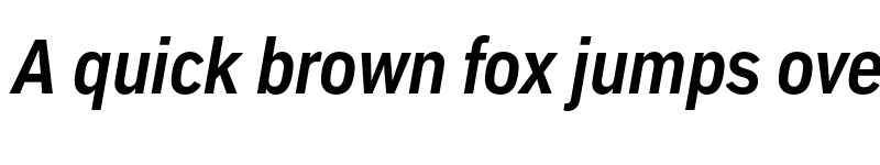 Preview of Embarcadero MVB Pro Bold Condensed Italic font