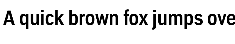 Preview of Embarcadero MVB Pro Bold Condensed font