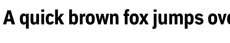 Preview of Embarcadero MVB Pro Extra Bold Condensed font