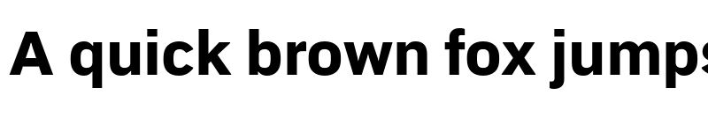 Preview of Embarcadero MVB Pro Extra Bold font