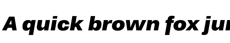 Preview of Endurance Pro Black Italic font