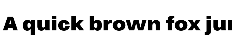 Preview of Endurance Pro Black font