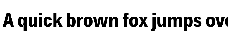 Preview of Endurance Pro Cond Bold font