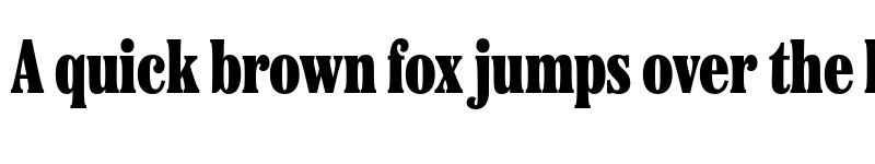 Preview of Etna X Condensed Black font