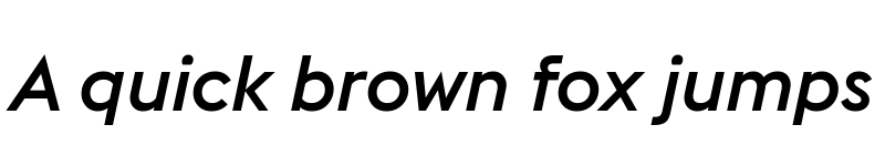 Preview of Euclid Flex Medium Italic font